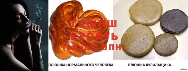 дживик Абаза