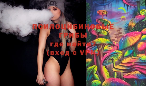 дживик Абаза