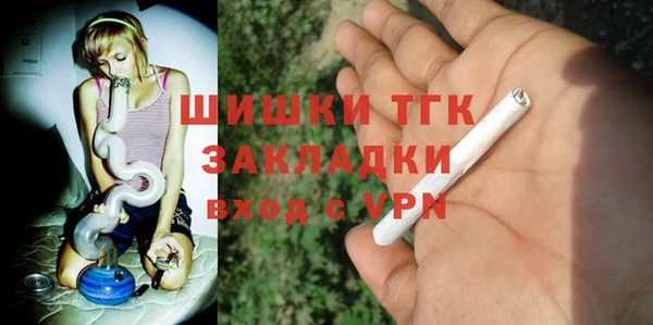 дживик Абаза
