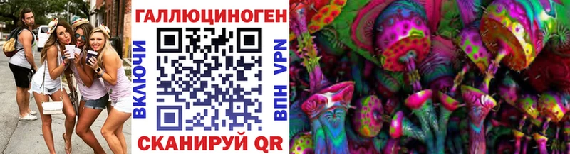 Псилоцибиновые грибы Psilocybe кракен рабочий сайт Великий Новгород