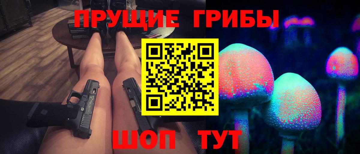 Псилоцибиновые грибы Cubensis Великий Новгород