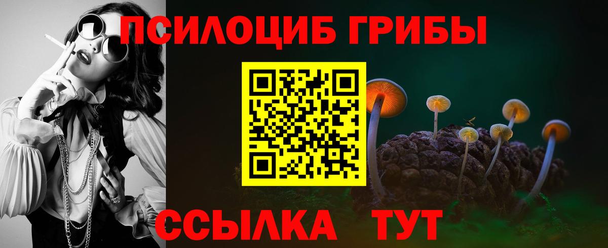 Великий Новгород  Галлюциногенные грибы прущие грибы  Вход с VPN 